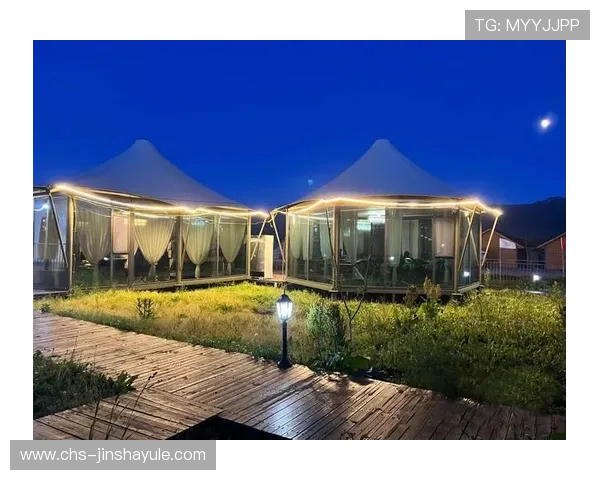 探索金沙澳门威斯尼斯的丰富娱乐设施和豪华住宿环境，满足您的高端旅游和休闲需求